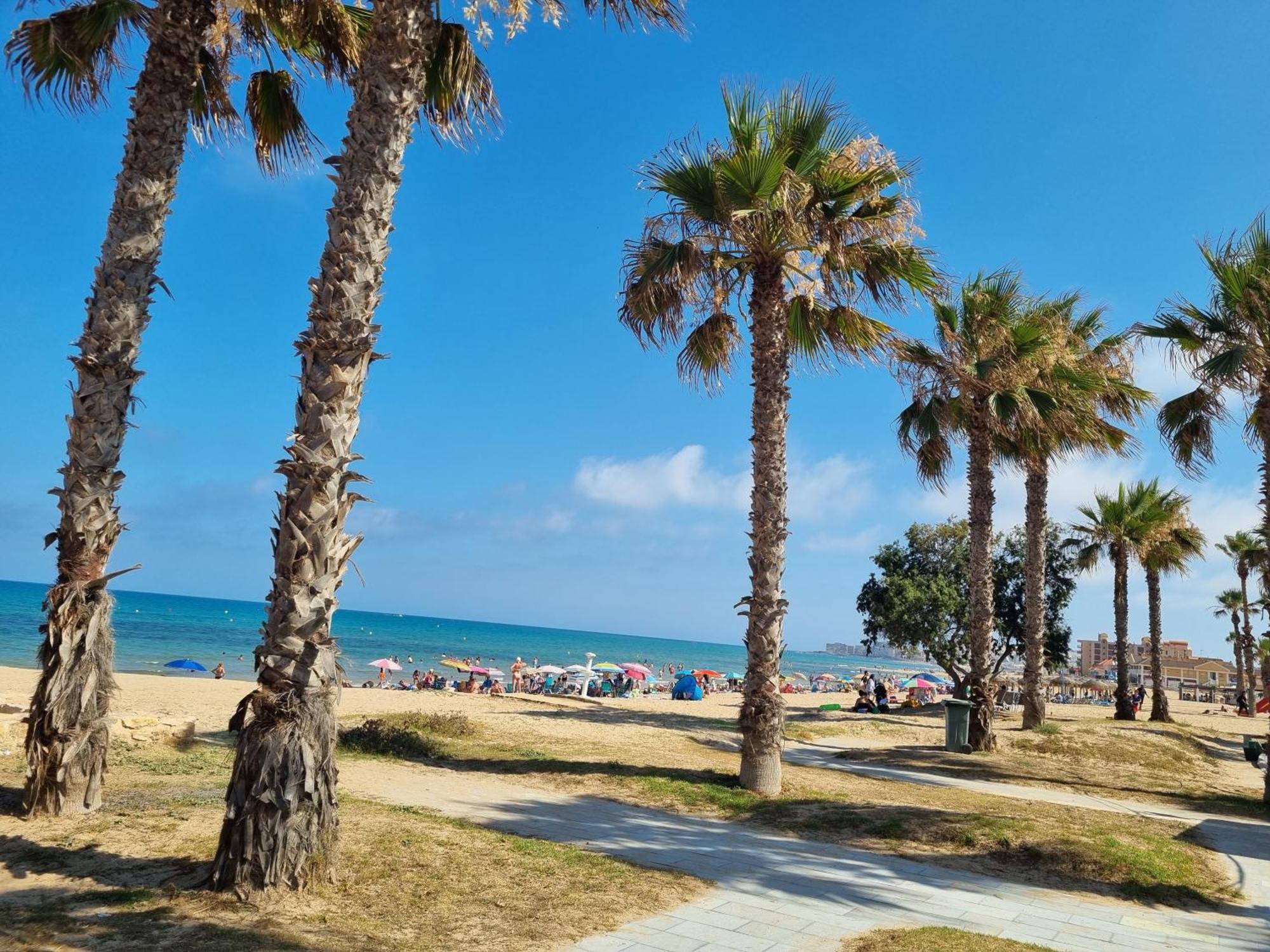 Amelia La Mata (Torrevieja)